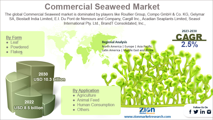 Global Commercial Seaweed Market Size