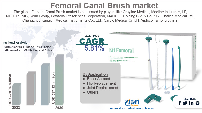 Global Femoral Canal Brush Market Size