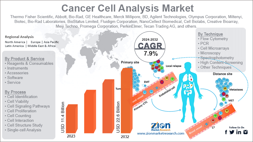 Cancer Cell Analysis Market