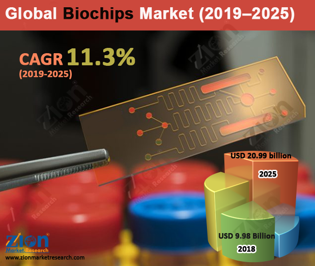 Global Biochips Market 