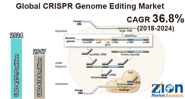 Global CRISPR Genome Editing Market