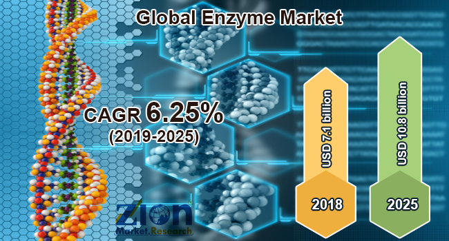 Global Enzyme market