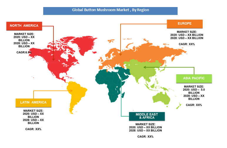 Global Button Mushroom Market By Region