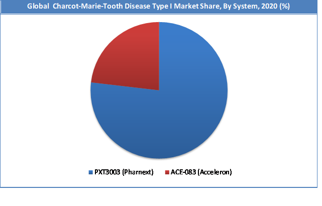Global Charcot-Marie-Tooth Disease Type I Market Share