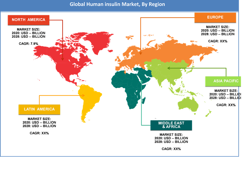 Global Human insulin Market Regional Analysis
