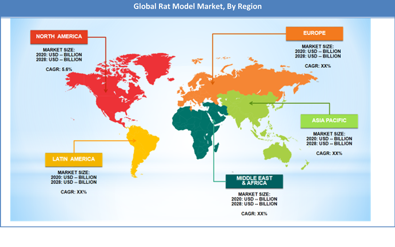 Global Rat Model Market Regional Analysis