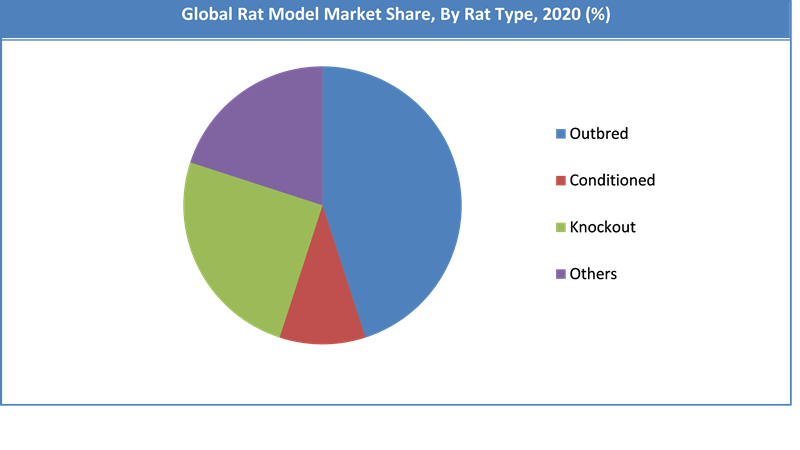 Global Rat Model Market Share