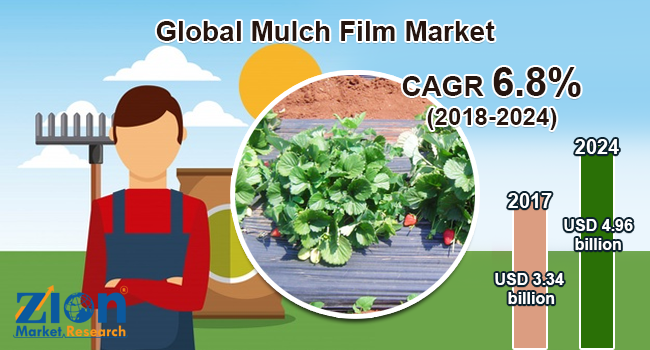Global Mulch Film Market