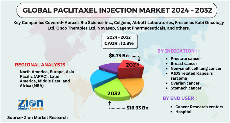 Global Paclitaxel Injection Market 