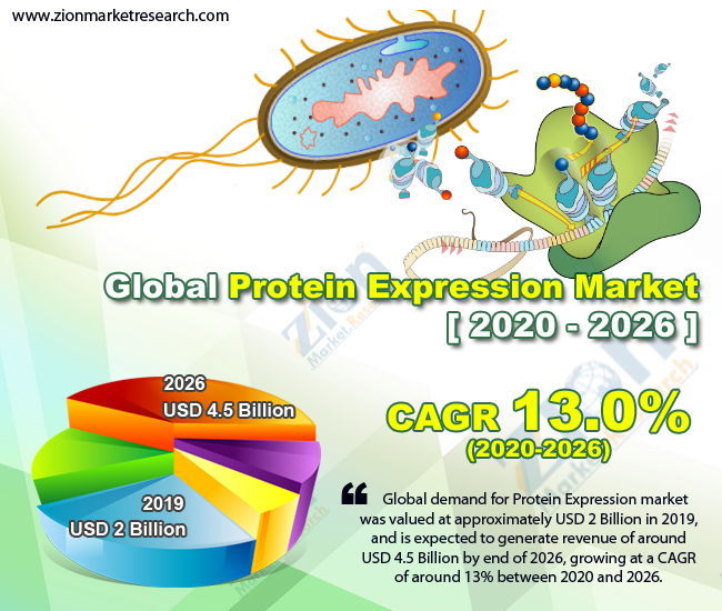Global Protein Expression Market
