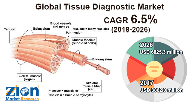 Tissue Diagnostic Market