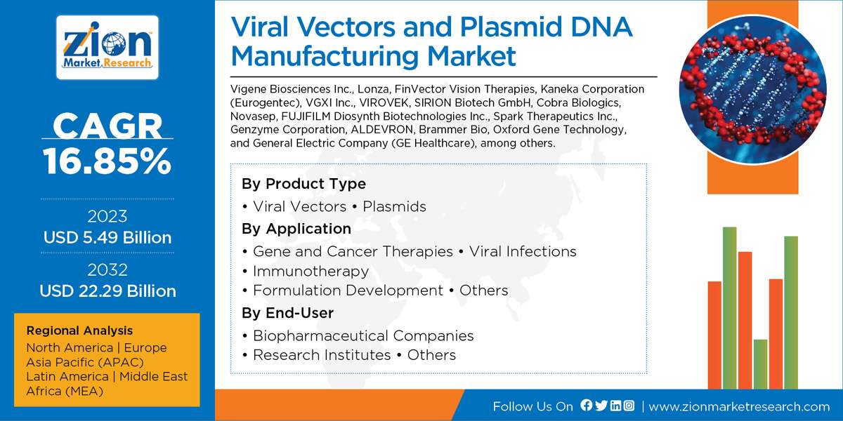 Global Viral Vectors and Plasmid DNA Manufacturing Market