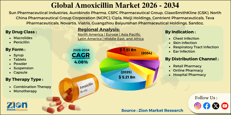 Amoxicillin-Markt