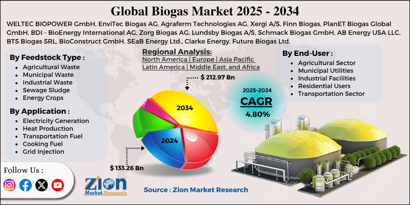 Biogas Market