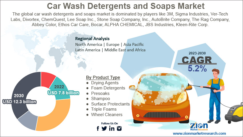 Global Car Wash Detergents and Soaps Market Size