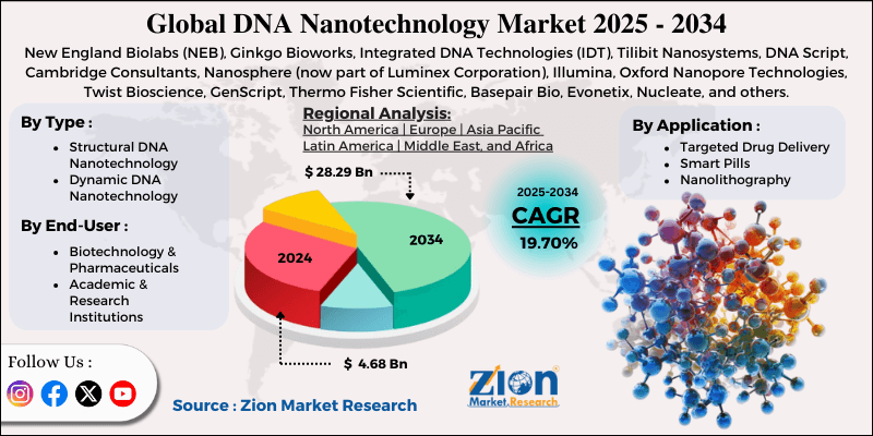 DNA Nanotechnology Market