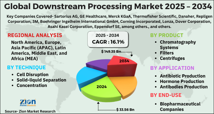 Downstream Processing Market
