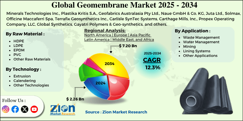 Geomembrane Market