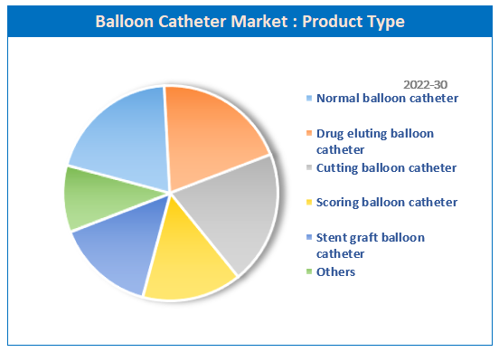 Global Balloon Catheter Market Share