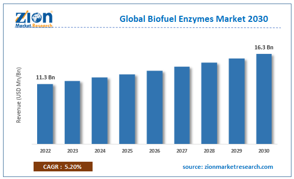 Global Biofuel Enzymes Market Size