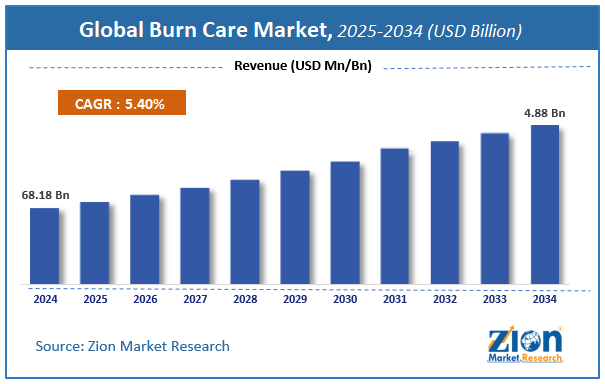 Global Burn Care Market Size