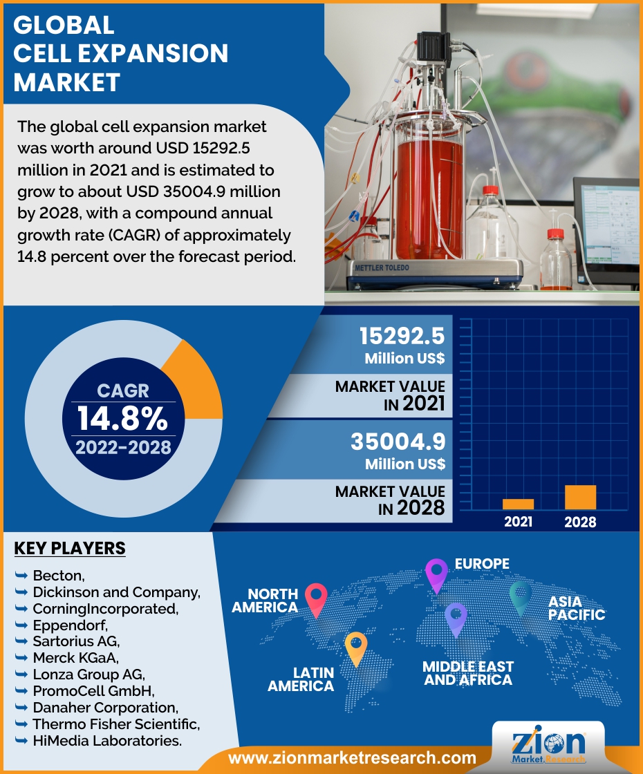 Global Cell Expansion Market