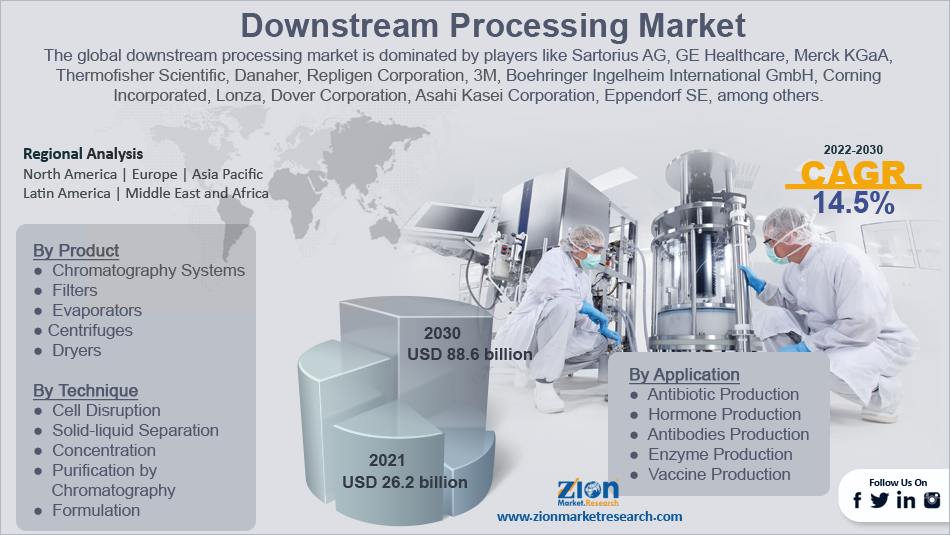 Global Downstream Processing Market