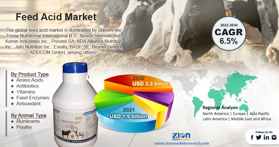 Global Feed Acid Market