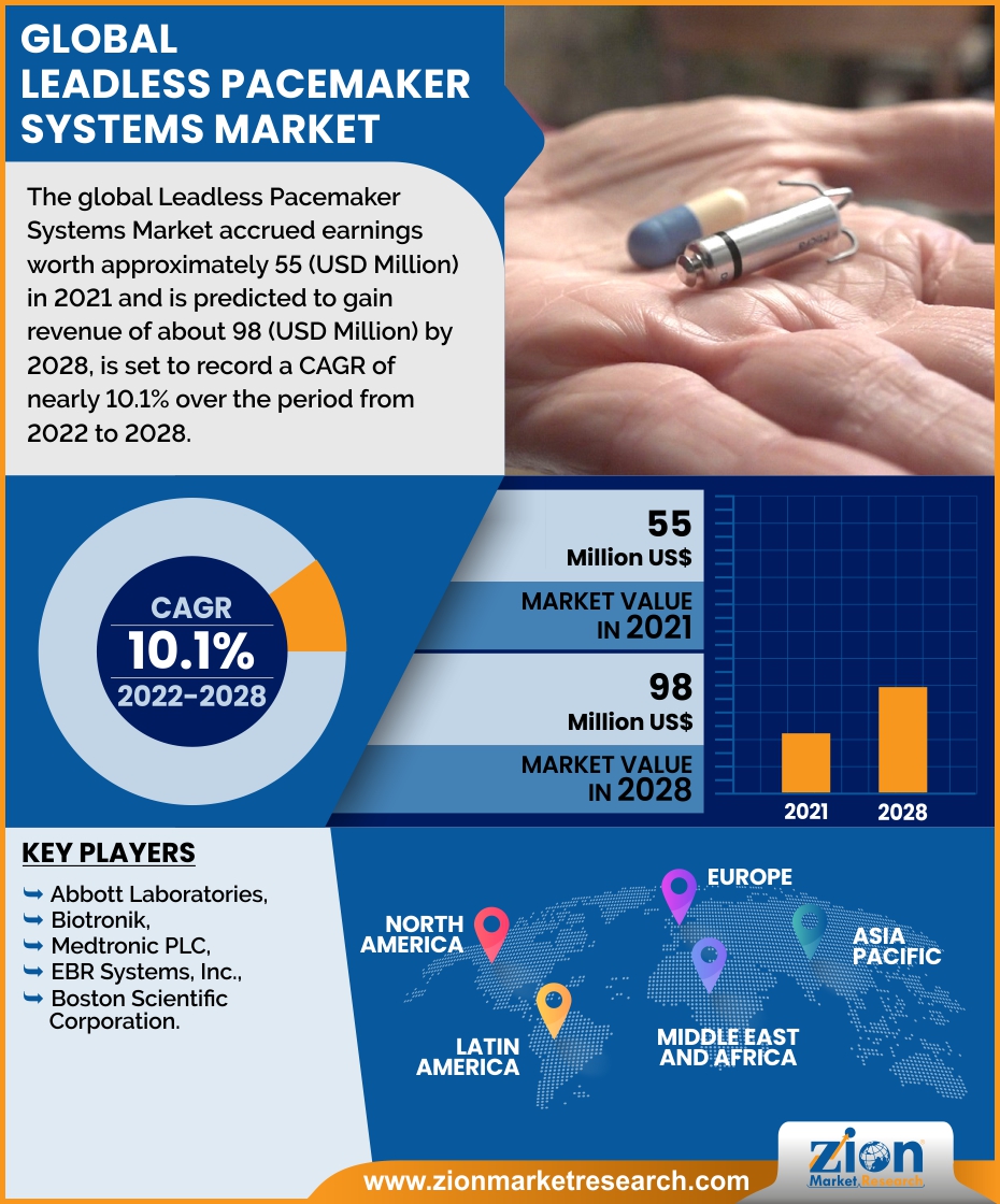 Global Leadless Pacemaker Systems Market