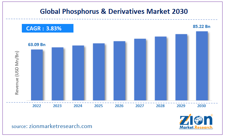 Global Phosphorus & Derivatives Market Size