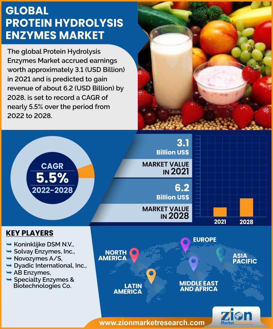 Global Protein Hydrolysis Enzymes Market