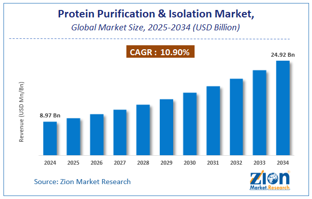 Protein Purification & Isolation Market Size