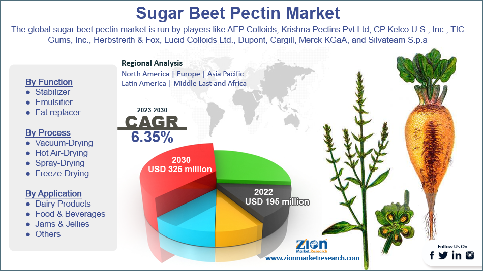 Global Sugar Beet Pectin Market