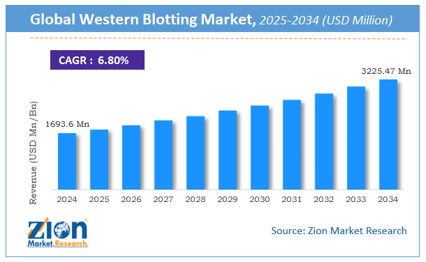 Global Western Blotting Market Size