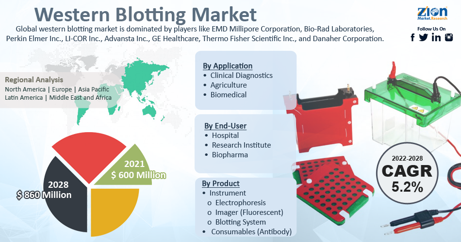 Global Western Blotting Market