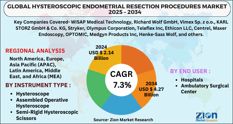 Hysteroscopic Endometrial Resection Procedures Market