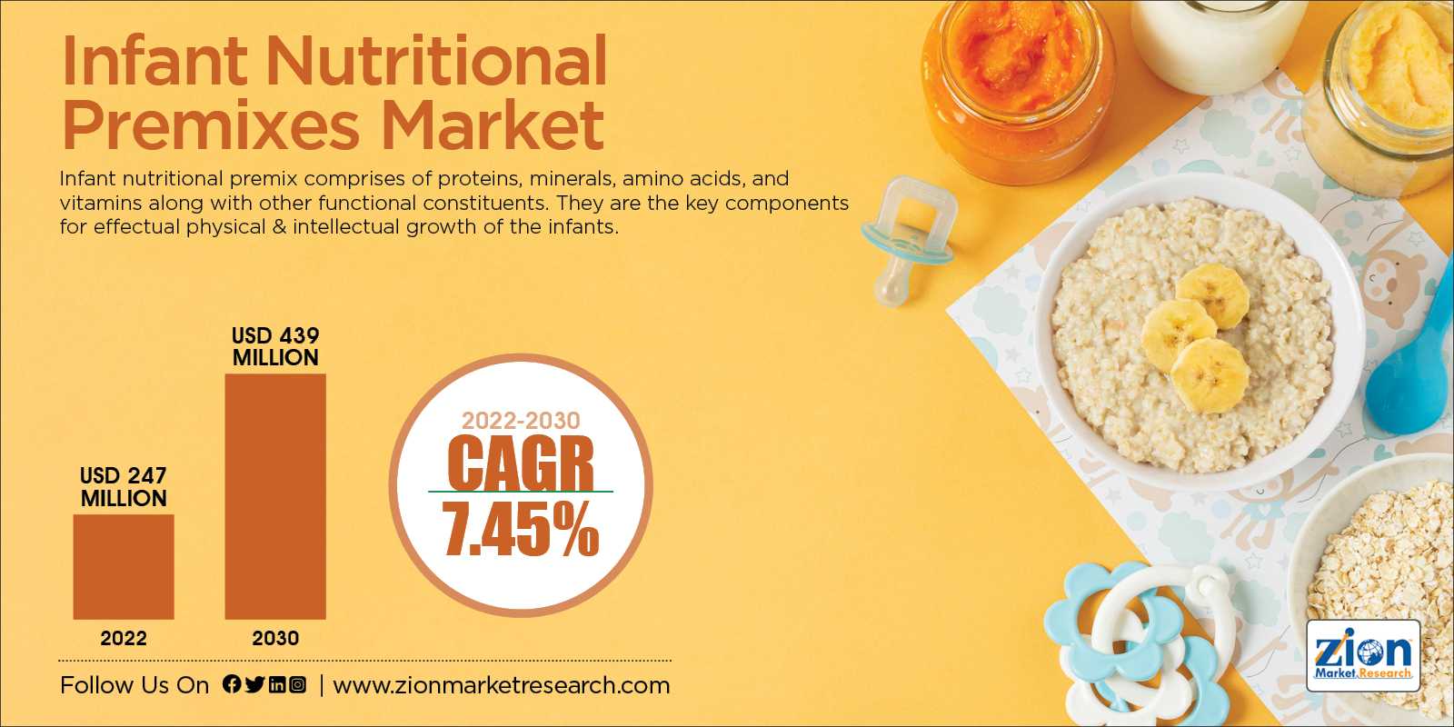 Global Infant Nutritional Premixes Market Size