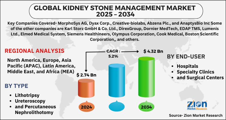 Kidney Stone Management Market