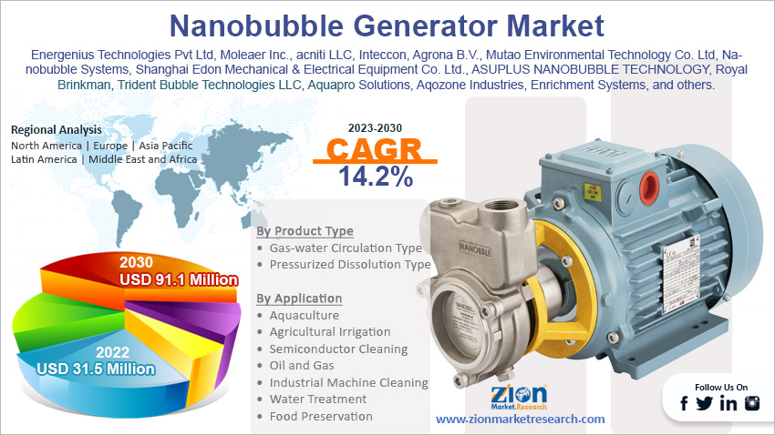 Global Nanobubble Generator Market Size