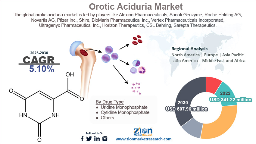 Global Orotic Aciduria Market Size