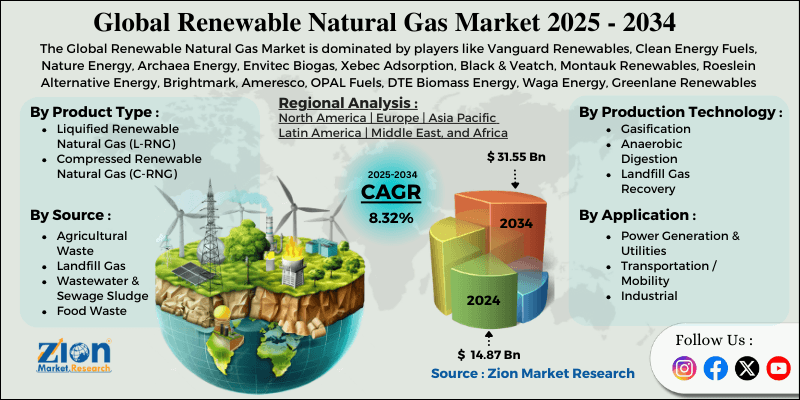 Renewable Natural Gas Market