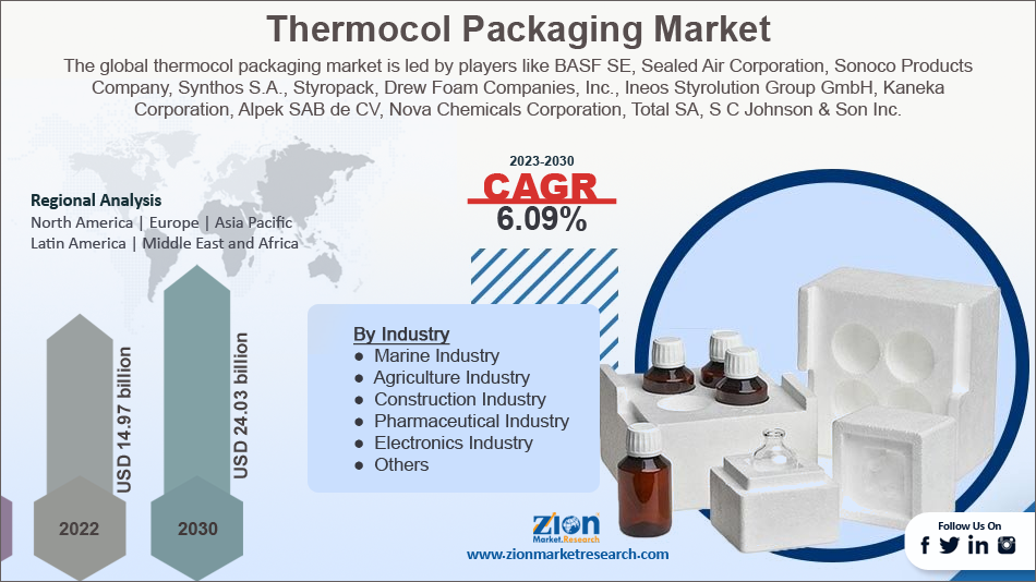 Global Thermocol Packaging Market Size