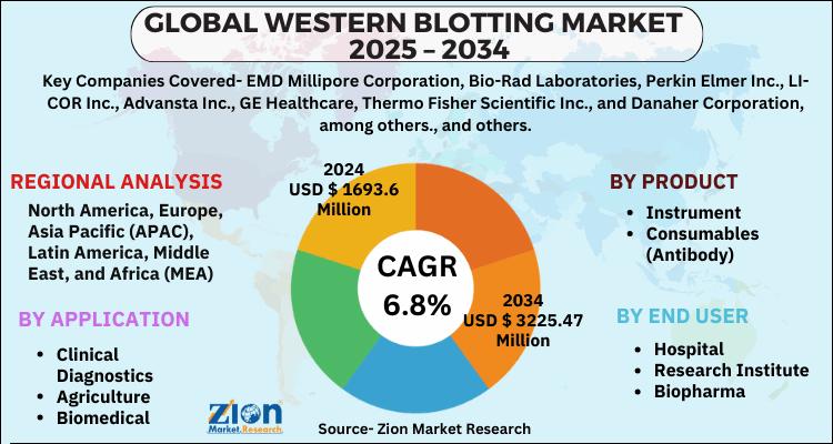 Western Blotting Market
